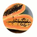 Papaya Toxipol