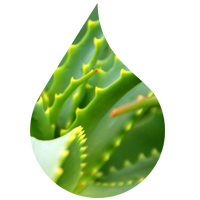 aloe novaskin