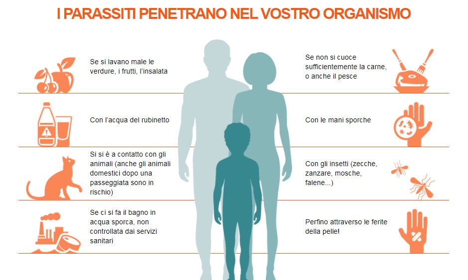 i parassiti penetrano nel vostro organismo