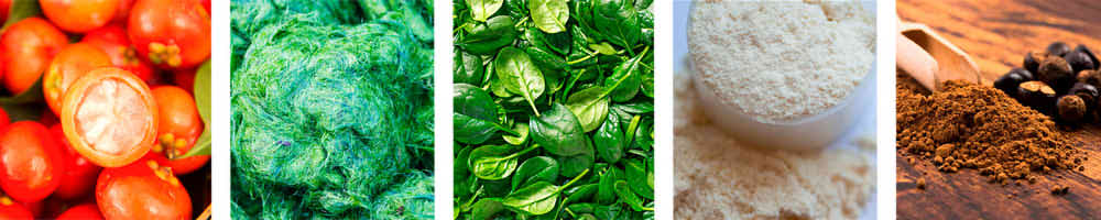 immagine Garcinia Cambogia, L-carnitina e Spirulina